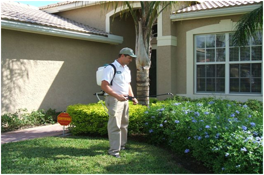 Image for Ziehler Lawn and Tree Care with ID of: 1807721