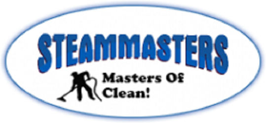 Image for Steam Masters LLC with ID of: 1808730