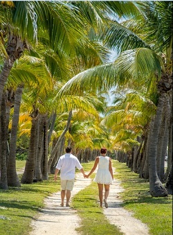 Image for Conch Concierge Weddings with ID of: 1809012