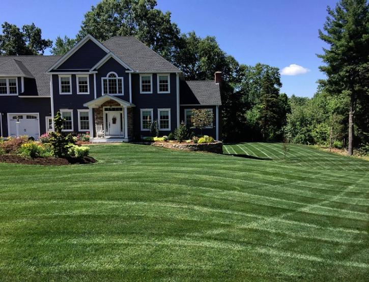 Image for Lawn Care and Tick Control with ID of: 1809688