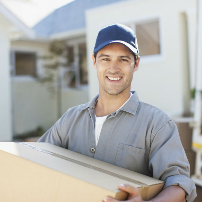 Image for Man With A Van with ID of: 1809717