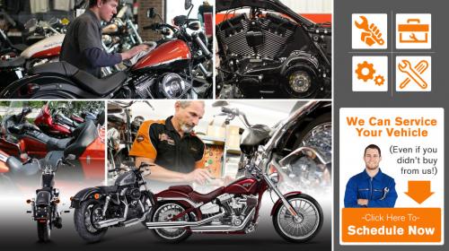 Image for Gail's Harley-Davidson with ID of: 1810019