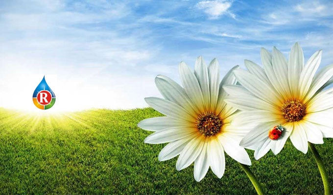 Image for House & Office Cleaning Aces with ID of: 1818542