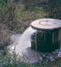 Image for Septic Tank Guys with ID of: 1819479
