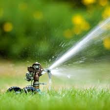Image for Austin’s Lawn Management with ID of: 1820060