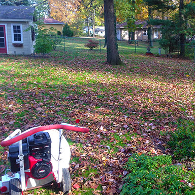 Image for Austin’s Lawn Management with ID of: 1820061