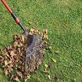 Image for Austin’s Lawn Management with ID of: 1820063
