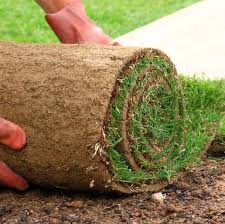 Image for Austin’s Lawn Management with ID of: 1820075