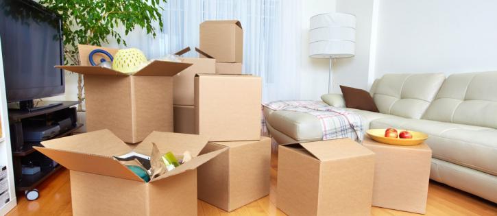 Image for Movalogicus Innovative Moving Solutions with ID of: 1821276