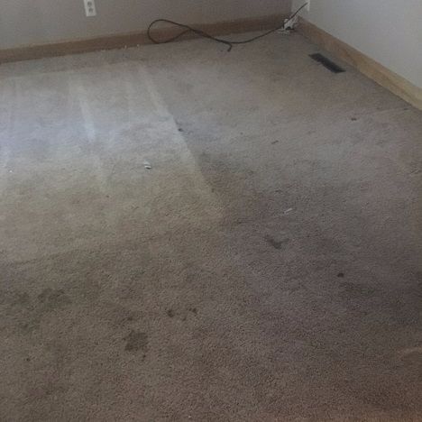 Image for Richardson Carpet Cleaning, Inc. with ID of: 1821428