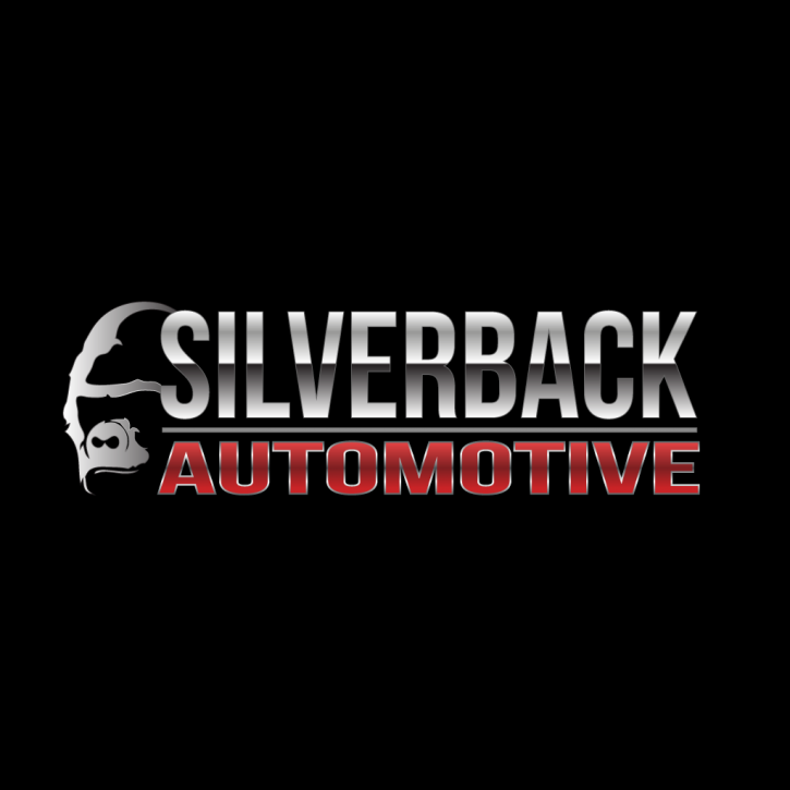 Image for Silverback Automotive with ID of: 1821593