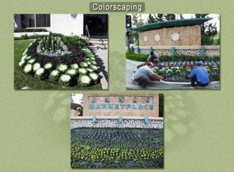 Image for Conejo Complete Landscape Inc. with ID of: 1822599