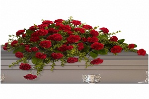 Image for Funeral Flowers Delivery with ID of: 1823169