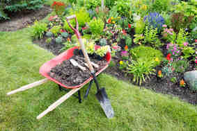 Image for Landscaping Austin with ID of: 1823870