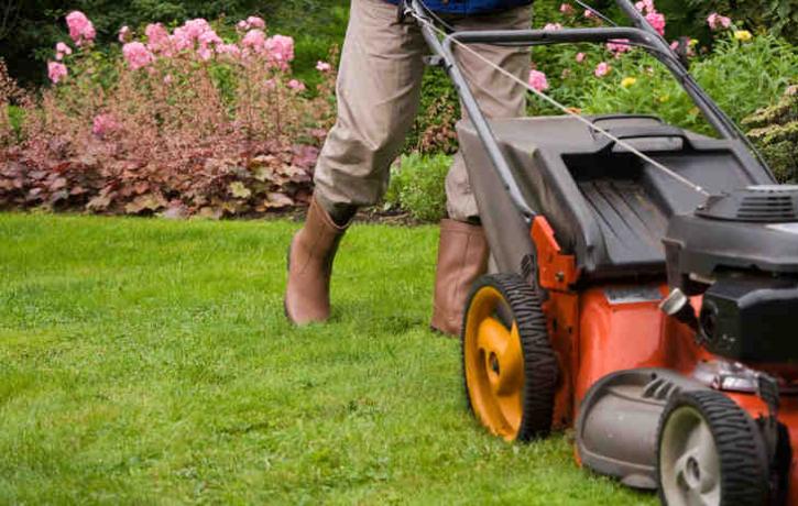 Image for Landscaping Austin with ID of: 1823871