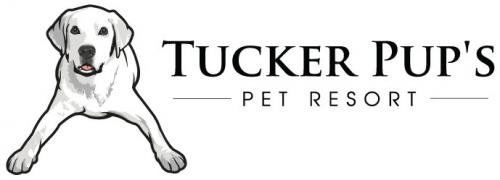 Image for Tucker Pup's Pet Resort with ID of: 1824914