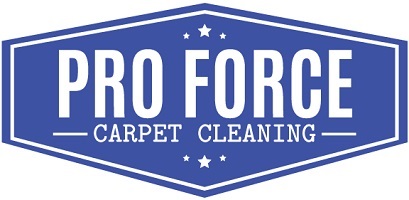 Image for Pro Force Carpet Cleaning with ID of: 1826158