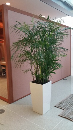 Image for Get Planted, LLC with ID of: 1827626