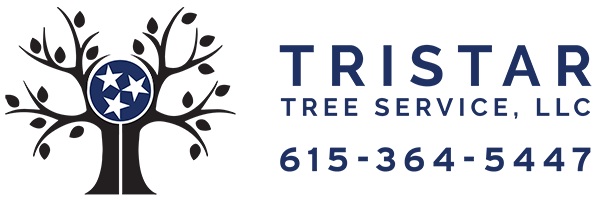 Image for TriStar Tree Service with ID of: 1830043