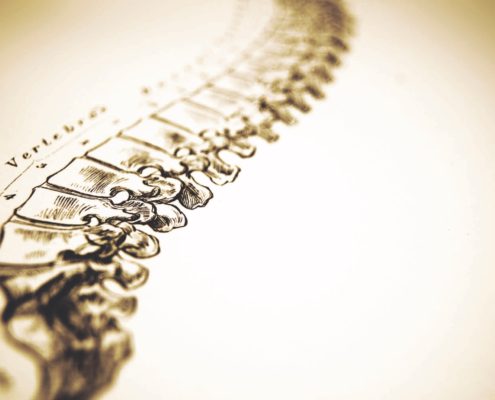 Image for Miner Chiropractic with ID of: 1830174
