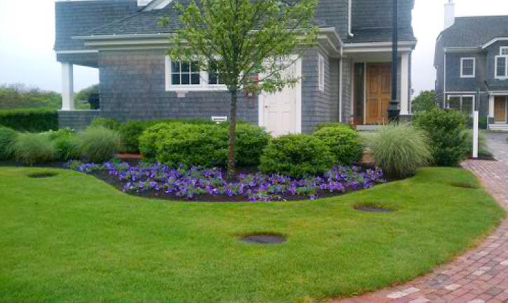 Image for Horticultural DNA, Inc with ID of: 1830978