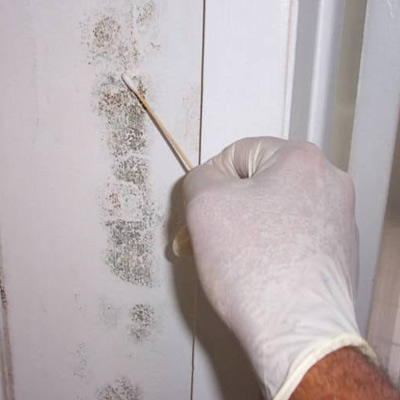 Image for Mold Inspection & Testing Boston MA with ID of: 1831722