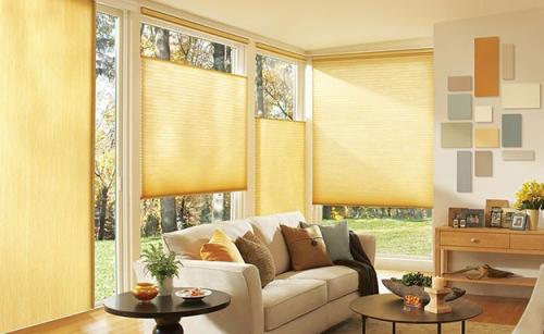 Image for The Blinds Source with ID of: 1833556