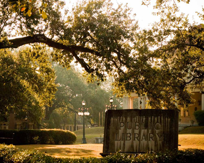 Image for Bayou Tree Service with ID of: 1834127