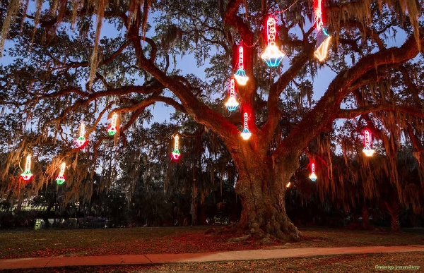 Image for Bayou Tree Service with ID of: 1834138