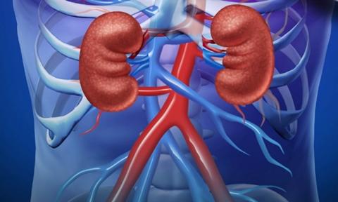 Image for Global Kidney Function Tests Market share will expand till 2016-2024 with ID of: 1834293