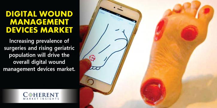Image for Digital Wound Management Devices Market - Industry Analysis, Size, Share, Growth, Trends and Forecast to 2025 with ID of: 1834375
