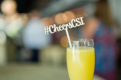 Image for CSI South Florida with ID of: 1835517