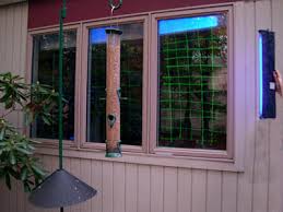 Image for Window Guard Guys with ID of: 1835866