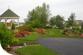 Image for Stefano's Landscaping with ID of: 1835889