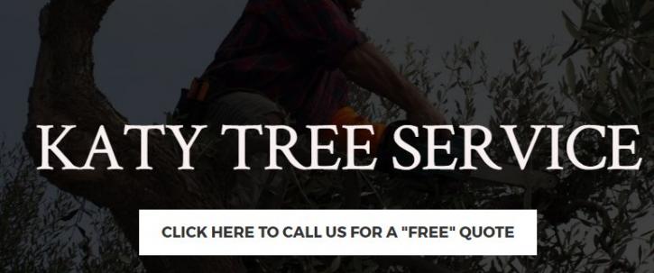 Image for Katy Tree Services with ID of: 1836099