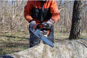 Image for Katy Tree Services with ID of: 1836103