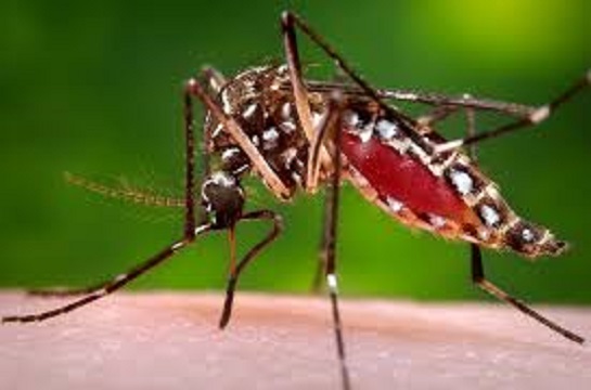 Image for AmeriTech Pest Solutions with ID of: 1836513