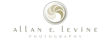 Image for Allan E. Levine Photography with ID of: 1836545