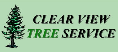 Image for Clear View Tree Service with ID of: 1838567