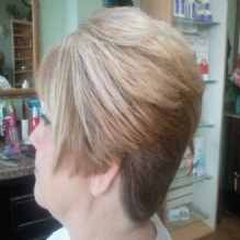 Image for Shear Genius with ID of: 1840026