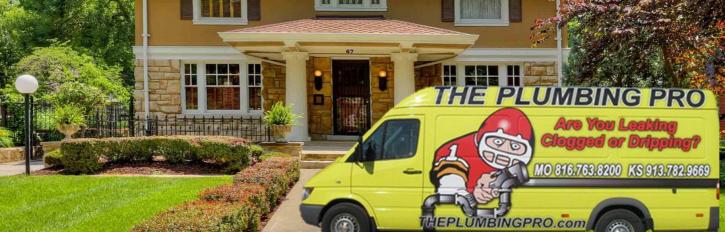 Image for The Plumbing Pro with ID of: 1841256