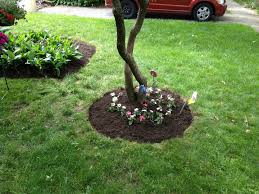 Image for Tree Cutting Guys with ID of: 1841780