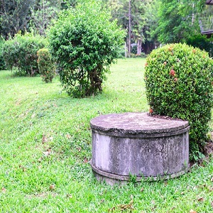 Image for Tim Frank Septic Tank Cleaning Company with ID of: 1843616