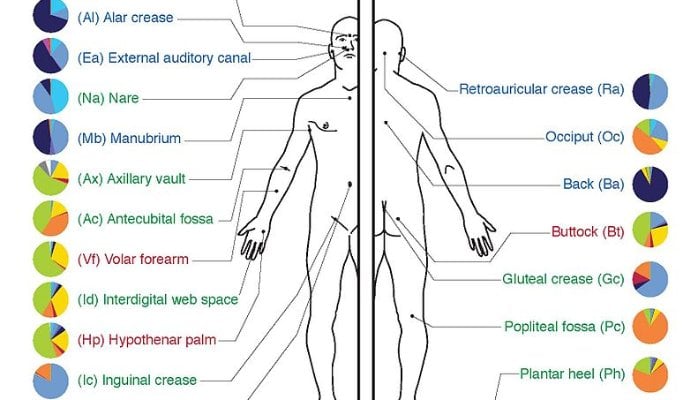 Image for Human Microbiome Market - Trends with ID of: 1846092