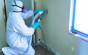 Image for Mold Remediation Guys with ID of: 1846318