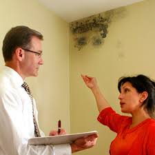 Image for Mold Treatment Guys with ID of: 1847361