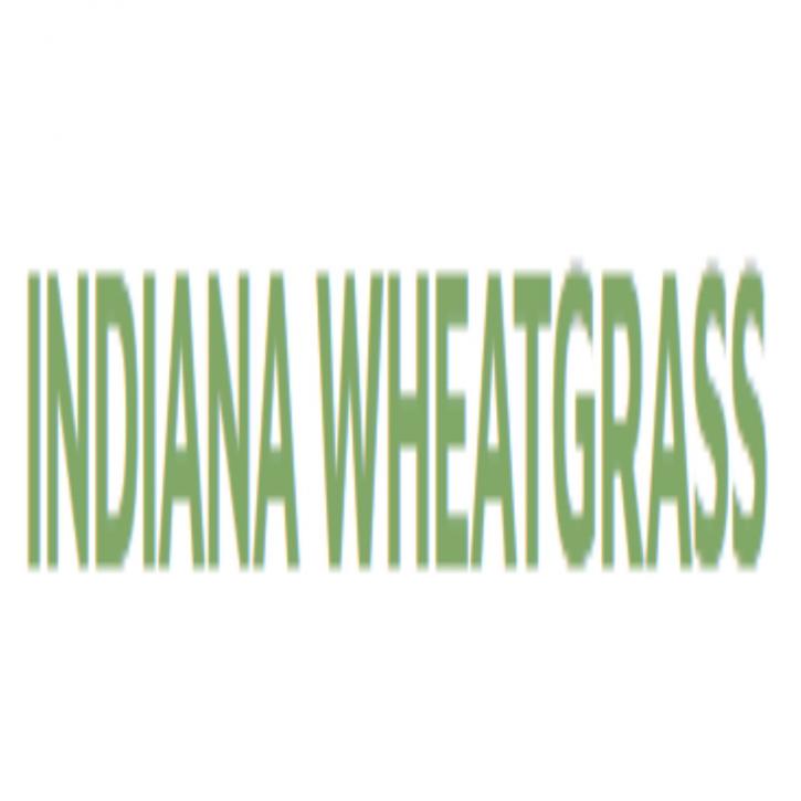 Image for Indiana Wheatgrass with ID of: 1847544