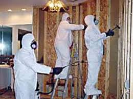 Image for Mold Testing Guys with ID of: 1847577