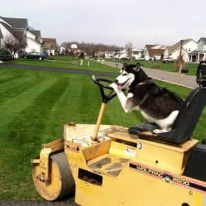 Image for Lipson Total Care LLC with ID of: 1848191