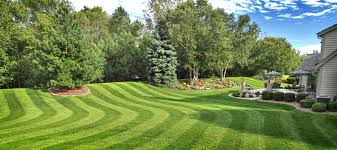 Image for Lipson Total Care LLC with ID of: 1848193